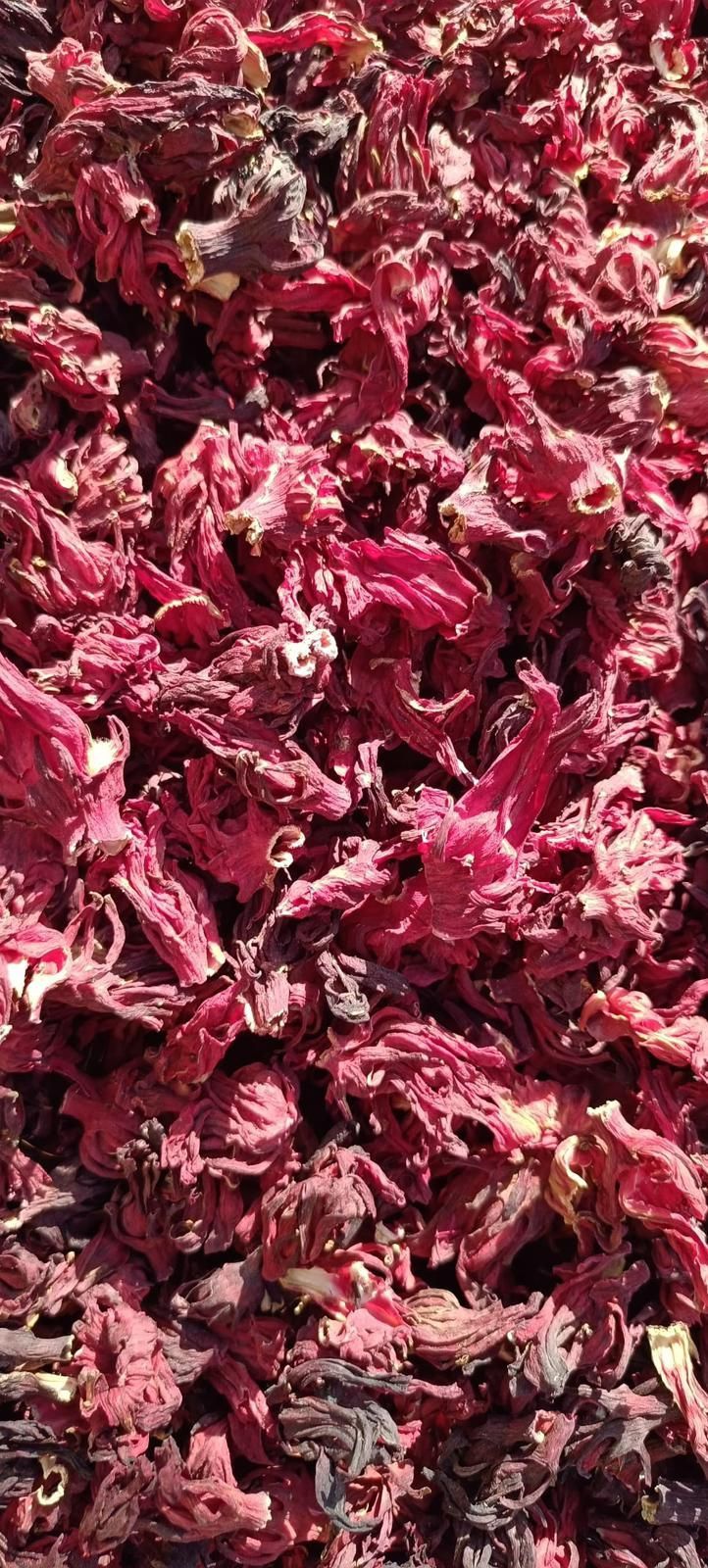 Hibiscus